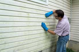 Best Vinyl Siding Installation  in Coal Grove, OH